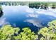 Picturesque aerial view of a serene lake with trees on the shore, perfect for relaxation at 16603 Hutchison Rd, Odessa, FL 33556
