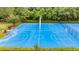 The bright blue community sports court includes basketball and tennis for active residents at 17724 Daisy Farm Dr, Lutz, FL 33559