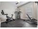 Spacious home gym equipped with modern exercise equipment and rubber flooring at 17724 Daisy Farm Dr, Lutz, FL 33559
