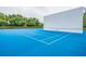The bright blue community sports court includes racquetball and basketball for active residents at 17724 Daisy Farm Dr, Lutz, FL 33559