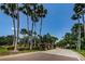 Scenic road lined with tall palm trees creating a tranquil and inviting entrance to the community at 2143 Edelweiss Loop, Trinity, FL 34655
