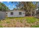 A backyard featuring lush greenery and a versatile storage shed alongside a home's exterior at 2646 61St N Ave, St Petersburg, FL 33714