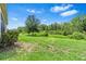 Well-maintained backyard with lush green lawn and mature trees at 30410 Ceasar Park Dr, Wesley Chapel, FL 33543