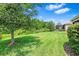 Scenic backyard view with mature trees and a lush lawn at 30410 Ceasar Park Dr, Wesley Chapel, FL 33543
