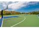 Community basketball court on a sunny day, with basketball hoops and court lines at 30410 Ceasar Park Dr, Wesley Chapel, FL 33543
