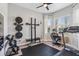 Home gym featuring exercise equipment, weights, and a comfortable workout space at 30410 Ceasar Park Dr, Wesley Chapel, FL 33543