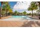 Stunning zero entry community pool surrounded by lush palm trees and comfortable lounge chairs at 30410 Ceasar Park Dr, Wesley Chapel, FL 33543