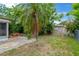 Backyard featuring a small patio, grass, and a decorative palm tree adding a touch of tropical ambiance at 3547 Odom Dr, New Port Richey, FL 34652