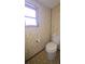 Modest bathroom with a standard toilet and decorative wallpaper at 37229 Lois Ave, Zephyrhills, FL 33542