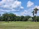 Scenic golf course view featuring lush green grass, mature trees, and a vibrant blue sky with scattered clouds at 37229 Lois Ave, Zephyrhills, FL 33542