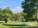 Lush green golf course with mature trees on a sunny day at 37229 Lois Ave, Zephyrhills, FL 33542