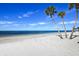 Beautiful white sand beach with palm trees and calm, clear water, perfect for relaxation at 5529 White Marlin Ct, New Port Richey, FL 34652