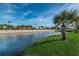 Scenic pond view with lush green landscaping and clear blue sky providing serenity at 5529 White Marlin Ct, New Port Richey, FL 34652