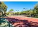 Well-maintained tennis courts with lush green surroundings, lighting, and fenced perimeter at 5705 Baywater Dr # 5705, Tampa, FL 33615