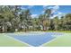 Outdoor basketball court provides a great recreational amenity for residents at 7119 Amelia River Dr, Parrish, FL 34219