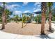 A colorful playground with palm tree landscaping provides shaded play areas for children at 7119 Amelia River Dr, Parrish, FL 34219