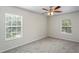 Cozy bedroom features neutral walls, plush carpet, ceiling fan, and natural light streaming through windows at 7412 Bridgeview Dr, Wesley Chapel, FL 33545