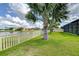 Picturesque backyard with palm trees and white fence, offering a tranquil outdoor space at 13111 Bahia Grass Ln, Riverview, FL 33579