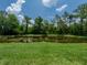 Scenic backyard view of a tranquil pond surrounded by lush greenery at 19137 Lake Audubon Dr, Tampa, FL 33647