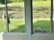 Screened-in lanai with views of pond and sandhill cranes in a lush backyard setting at 19137 Lake Audubon Dr, Tampa, FL 33647
