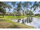 Picturesque pond view bordered by mature trees, enhancing the natural beauty at 2542 Glenrise Pl, Wesley Chapel, FL 33544