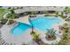 Aerial view of a large resort-style community pool with ample seating, palm trees, and shaded areas at 33922 Jasper Stone Dr, Wesley Chapel, FL 33543