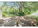 Lush backyard featuring mature trees and natural landscaping at 3542 Castle Dr, Zephyrhills, FL 33540