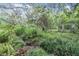 Green backyard featuring mature trees and natural landscaping at 3542 Castle Dr, Zephyrhills, FL 33540