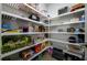 Walk-in pantry featuring an abundance of shelving for optimal storage at 3952 Aldea Way, Wesley Chapel, FL 33543
