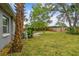 A well-maintained backyard with green grass, mature palm trees, and a wooden fence for privacy at 4324 S Clark Ave, Tampa, FL 33611