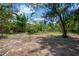 Large backyard featuring mature trees and natural landscaping, offering privacy and room to explore at 6104 Palm Ave, Gibsonton, FL 33534