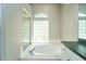 Bathroom featuring a soaking tub with jets and a glass block window at 10219 Millport Dr, Tampa, FL 33626