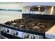 Close up of stainless steel gas range top at 10219 Millport Dr, Tampa, FL 33626