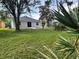 Spacious backyard with lush green grass and mature trees, perfect for outdoor activities and relaxation at 12510 Sparkleberry Rd, Tampa, FL 33626