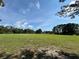 Expansive, lush green field, perfect for recreation and relaxation on a sunny day at 12510 Sparkleberry Rd, Tampa, FL 33626