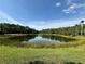 Picturesque pond surrounded by lush greenery offering a serene natural view at 12510 Sparkleberry Rd, Tampa, FL 33626