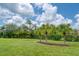 Well-maintained backyard featuring lush green grass, manicured bushes, and mature palm trees adding to the tropical ambiance at 14610 Mondavi Ct, Tampa, FL 33626