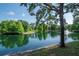 Peaceful pond view featuring a fountain and lush greenery at 2173 Tuscany Trce # 8, Palm Harbor, FL 34683