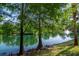 Lakeside view of lush greenery, tranquil waters, a fountain and beautiful trees at 2173 Tuscany Trce # 8, Palm Harbor, FL 34683