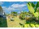 Expansive backyard with a well-manicured lawn, tropical foliage, and a barbecue grill, perfect for outdoor gatherings at 2247 Midnight Pearl Dr, Sarasota, FL 34240