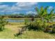 Picturesque backyard view showcasing lush greenery, a tranquil lake, and a comfortable chair, perfect for enjoying nature at 2247 Midnight Pearl Dr, Sarasota, FL 34240