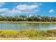 Scenic lake view showcasing calm water, lush vegetation, and a serene natural setting, perfect for enjoying the outdoors at 2247 Midnight Pearl Dr, Sarasota, FL 34240