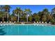 Beautiful community pool surrounded by lush landscaping and comfortable lounge chairs under a clear blue sky at 2247 Midnight Pearl Dr, Sarasota, FL 34240