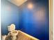 Cozy bathroom features blue walls and a toilet at 2325 Via Bella Blvd, Land O Lakes, FL 34639