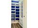 Walk-in closet with custom shelving, blue accents, drawers, and wire basket at 2325 Via Bella Blvd, Land O Lakes, FL 34639