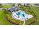 Aerial view of the community pool with palm trees and many lounge chairs at 30273 Marquette Ave, Wesley Chapel, FL 33545