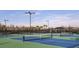 A view of well-maintained tennis courts perfect for sports enthusiasts at 4286 Cairoli Ct, Wesley Chapel, FL 33543