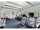 Well-equipped gym with treadmills, ellipticals, and rowing machine for a complete workout experience at 501 Knights Run Ave # 5103, Tampa, FL 33602