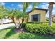 Landscaped front yard features palm trees, a two-car garage, and a well maintained lawn at 5646 Sunset Falls Dr, Apollo Beach, FL 33572