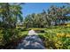 Walking path through a well-maintained community lined with trees and landscaping at 5646 Sunset Falls Dr, Apollo Beach, FL 33572